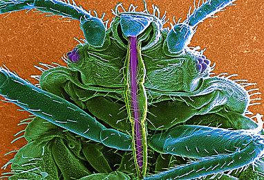 《穆拉纳秘宝》主创新作 像素科幻恐怖《MEDIUM-NAUT》公布